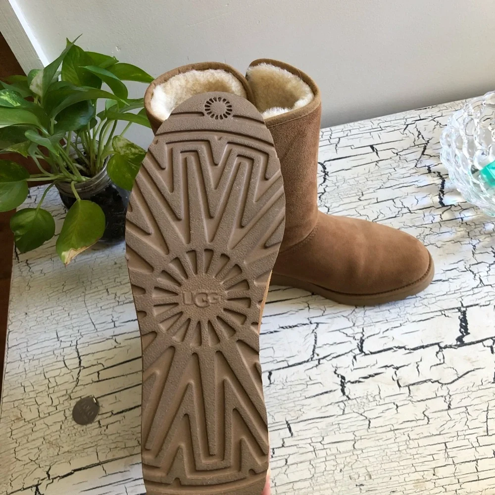 UGG Chestnut Suede Mid-Calf Winter Boots